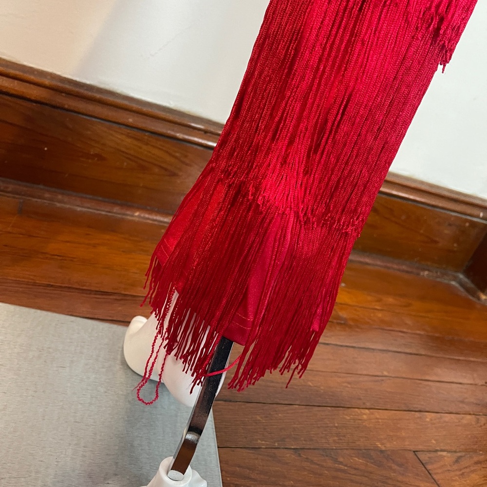 Weissman Dance Costume Sa - image 6